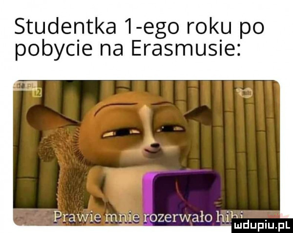 studentka   ego roku po pobycie na erasmusie prawie mnie oberwało hi ki. mduplu pl