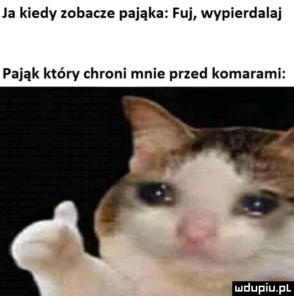 ja kiedy zobacze pająka fuj wypierdalaj pająk który chroni mnie przed komarami ludu iu. l