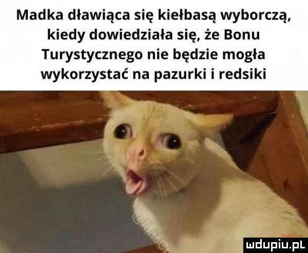 madka dławiąca się kiełbasą wyborczą kiedy dowiedziała się że bonu turystycznego nie będzie mogła wykorzystać na pazurki i redsiki i mdupiupl