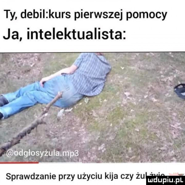 ty debil kurs pierwszej pomocy ja intelektualista sprawdzanie przy użyciu kija czy żu ech pl