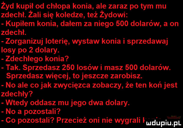 żyd kupil od chlopa konia ale zaraz po tym mu zdechł. żmii się koledze też żydowi. kupilem konia dalem za niego     dolarów a on zdechl zorganizuj loterię wystaw konia i sprzedawaj losy po   dolary. zdechlego konia tak. sprzedasz     losów i masz     dolarów. sprzedasz więcej to jeszcze zarobisz. no ale co jak zwycięzca zobaczy że ten koń jest zdechły wtedy oddasz mu jego dwa dolary. no a pozostali co pozostali przecież oni nie wygrali mdiniu pl