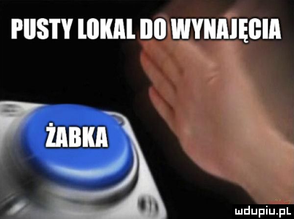 plis i y mm ibl wynaięgia