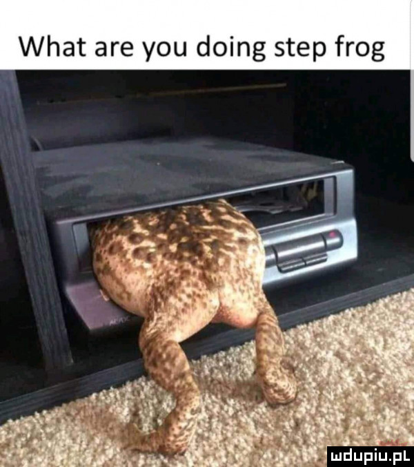 wiat are y-u doing step flog