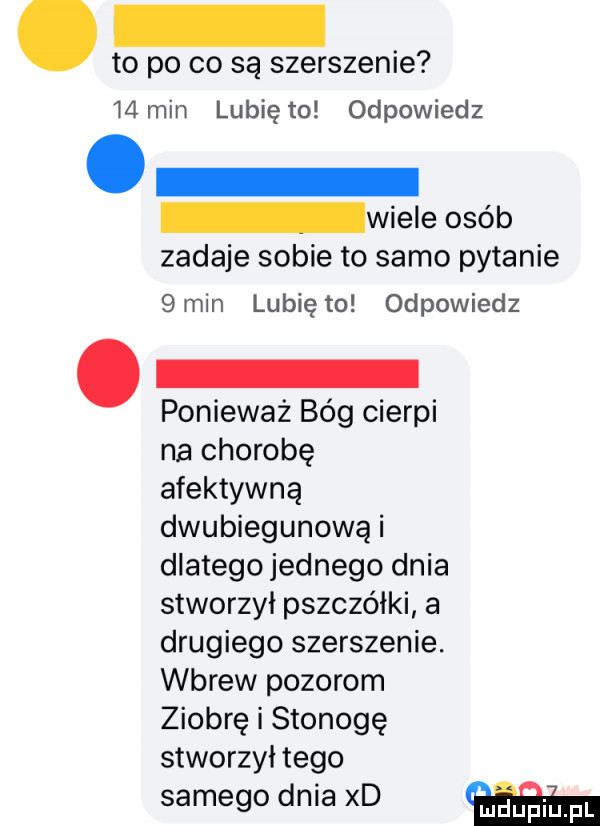 to po co są szerszenie    min lubię to odpowiedz wiele osób zadaje sobie to samo pytanie   min lubię to odpowiedz ponieważ bóg cierpi na chorobę afektywną dwubiegunowa i dlatego jednego dnia stworzył pszczółki a drugiego szerszenie. wbrew pozorom ziobrę i stonogę stworzył tego samego dnia xd