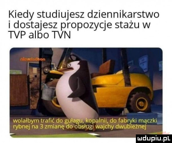 kiedy studiujesz dziennikarstwo i dostajesz propozycje stażu w tvp albo tvn