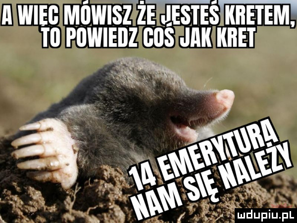 l wm mówisz że esteś kletem t  powiedz cos jak kret w w w