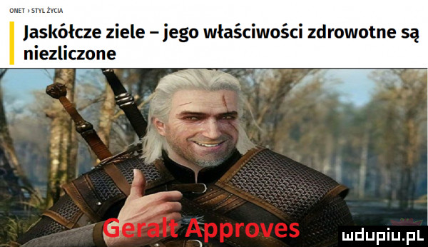 askółcze ziele jego właściwości zd robotne są niezliczone aw