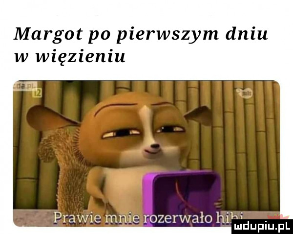 margot po pierwszym dniu w więzieniu prawie mnie oberwało hi ki. mduplu pl