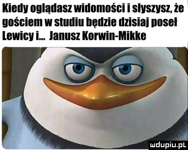 iiiellv ogladasz widomości i slyszysz że gościem w studiu bedzie ilzisiai nobel lewicy i. lanusz korwin mikre d mdupiuil