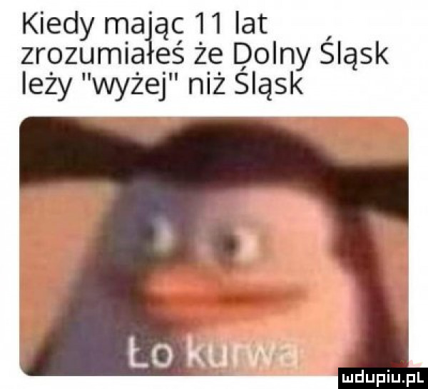 kiedy mając    lat zrozumla es że dolny śląsk leży wyżej niż śląsk