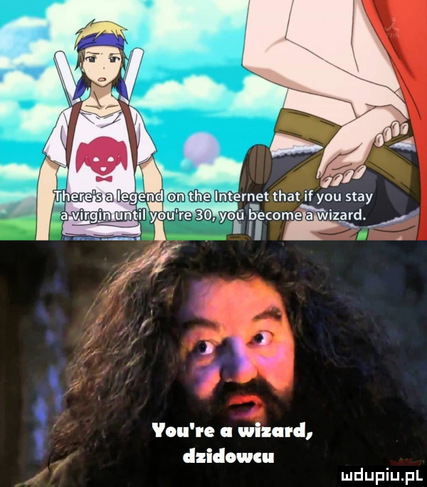 rn et trat if y-u skay era z vou re wizard dlidowcu