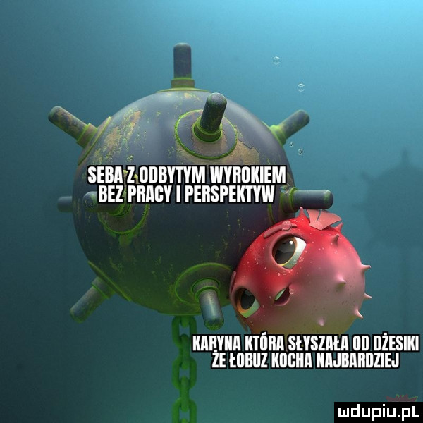 nv sem ż iiiibvtym wvﬂﬂkiem bez pmi i peiispek i yw kinia która shsziui lill iiżesiki ze lilbliz kijbiii iijbahijziej