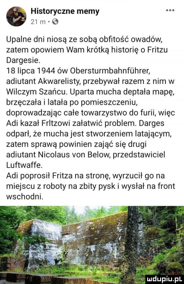 historyczne memy    m upalne dni niosą ze sobą obfitość owadów zatem opowiem wam krótką historię o fritzu dargesie.    lipca      ów obersturmbahnfiihrer adiutant akwarelisty przebywał razem z nim w wilczym szańcu. uparta mucha deptała mapę brzęczaka i latała po pomieszczeniu doprowadzając całe towarzystwo do furii więc agi kazał fritzowi załatwić problem. darges odparł ze mucha jest stworzeniem latającym zatem sprawą powinien zająć się drugi adiutant nicolaus van below przedstawiciel luftwaffe. agi poprosił fritza na stronę wyrzucił go na miejscu z roboty na zbity pyski wyslal na front wschodni