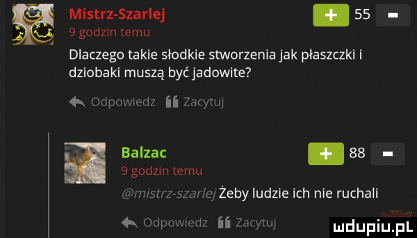 g mistrz skarlej     godom xeru dlaczego takie słodkie stworzenia jak płaszczki i dziobaki muszą hyc jadowite   o balzac.    sgodzm emu w mam mrmsn ada żeby ludzie ich nie ruchali   m ii mwmw