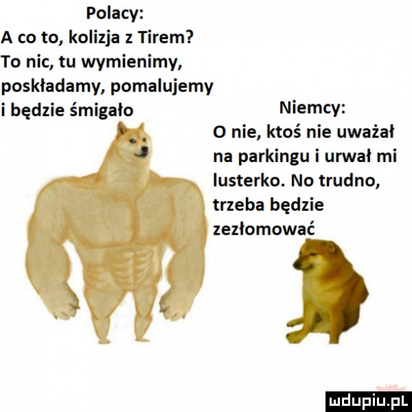 polacy a co to kolizja z tirem to nic tu wymienimy poskładamy pomalujemy i będzie śmigało niemcy   nie ktoś nie uważał na parkingu i urwal mi lusterko. no trudno trzeba będzie zezłomować ludu iu. l