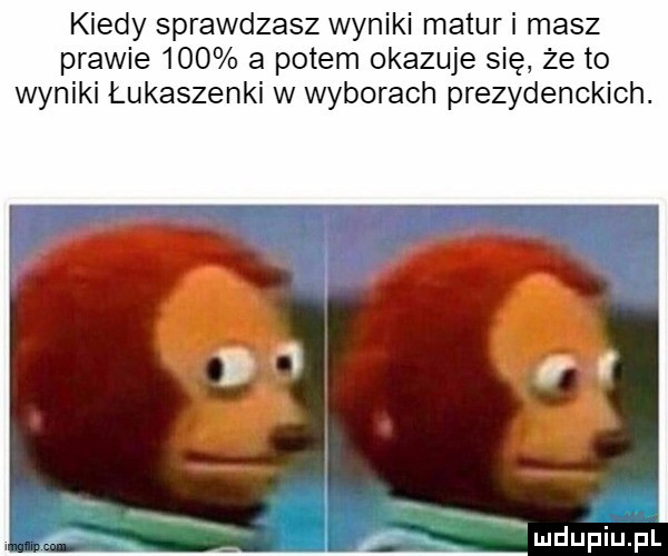 kiedy sprawdzasz wyniki matur i masz prawie     a potem okazuje się że to wyniki łukaszenki w wyborach prezydenckich