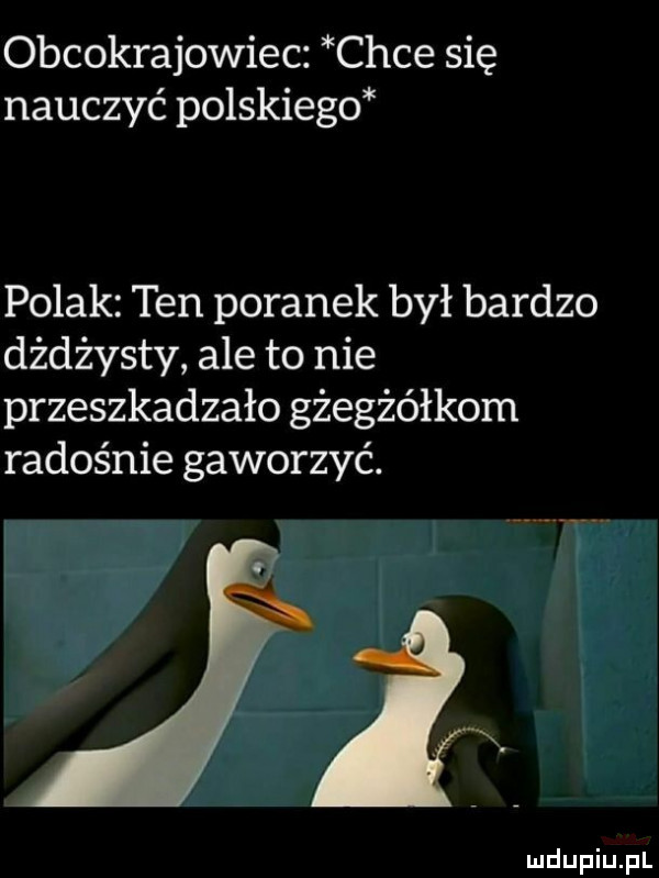 obcokrajowiec chce się nauczyć polskiego polak ten poranek był bardzo dżdżysty ale to nie przeszkadzało gżegżółkom radośnie gaworzyć. q