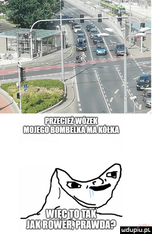 mmm jana wi dudek mg