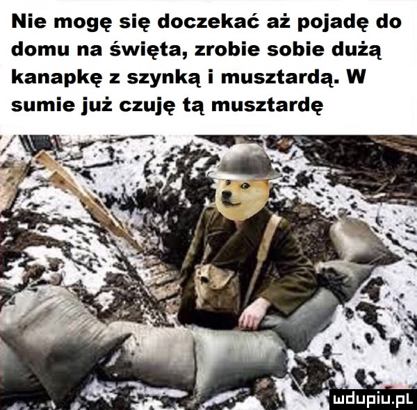 nie mogę się doczekać aż pojadę do domu na święta zrobie sobie dużą kanapkę z szynką i musztardą. w sumie już czuję tą musztardę