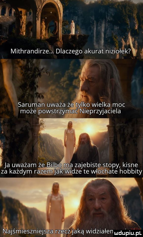 mithrandirze. dlaczego akurat nizięłekćx ę la uważam że bulbo ma zajebistę stopy kisne za każdym ragga jak widze te wie féhate hobbity jaką widziałen mru piu pl