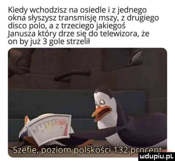 kiedy wchodzisz na osiedle i zjednego okna słyszysz transmisję mszy z drugiego disco polo a z trzeciego jakiegoś janusza który drze si do telewizora że on byjuz   gole sarze ił szefie poziom polskości     proton r mduplu pl
