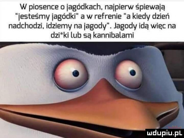 w piosence iagódkach. najpierw śpiewają lesteśmy lagódki a w refrenie a kiedy dzień nadchodzi idziemy na jagody. jagody idą wiec na dni kl lub są kannibalami md upiupl