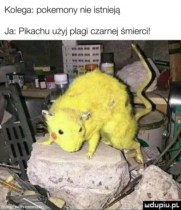 kolega pokemony nie istnieją ja pikachu użyj plagi czarnej śmierci