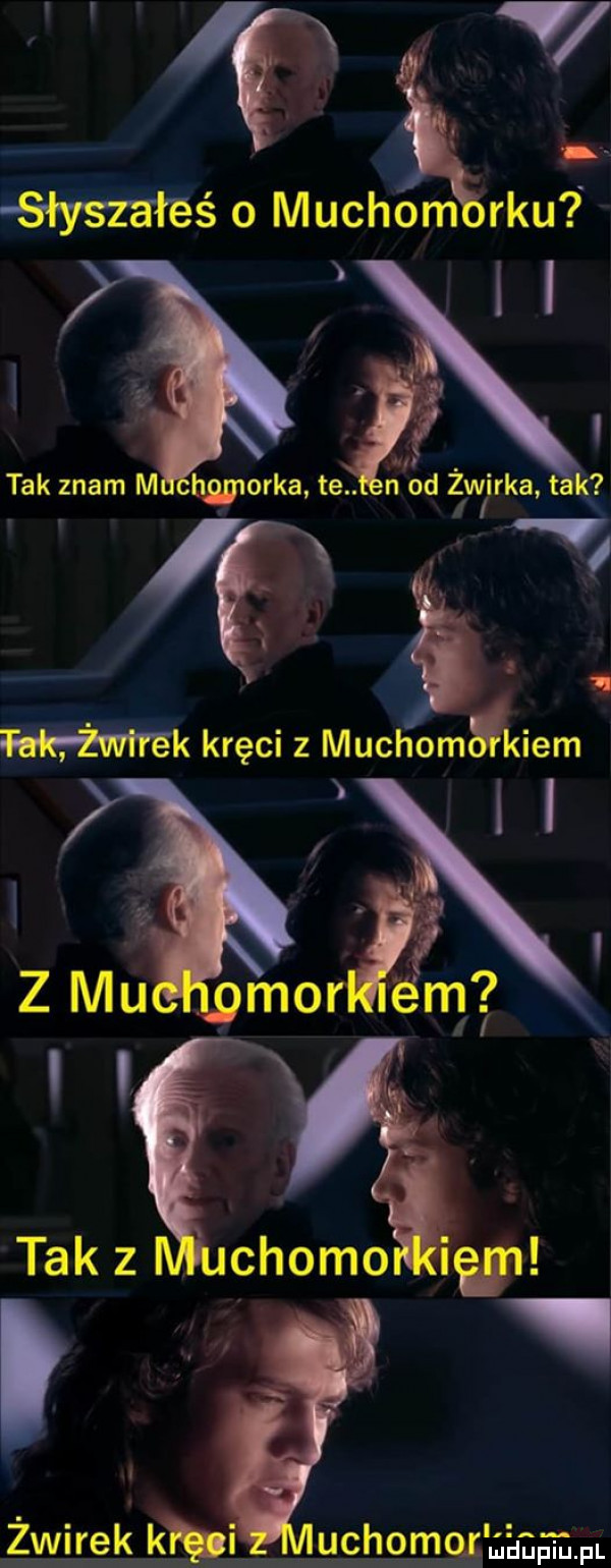 wś o muchom raul tak znam m warka te. r od  wirka ta fai wk kręci z muchom ielm żwirek kal uchomuąg aaaaam sam. gm. ma. enema
