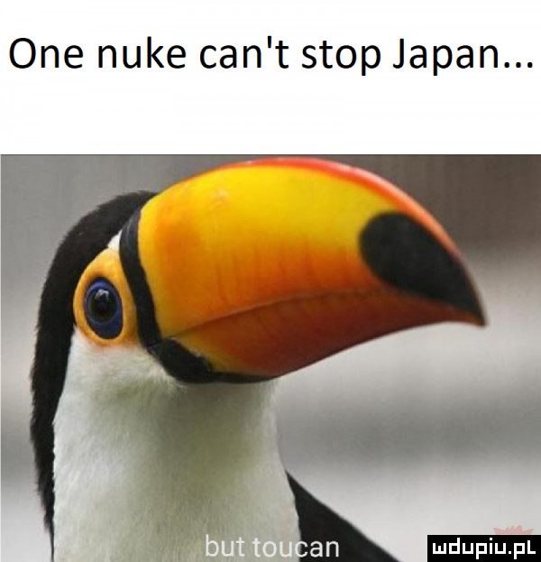 one nike cen t stop japan. w ludu iu. l l