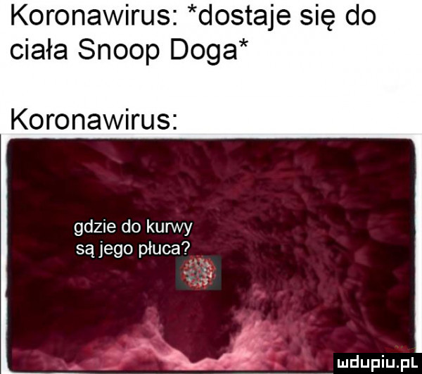 koronawirus dostaje się do ciała scoop doga koronawirus gdzie do kurwy są jego płuca. imdupiupl