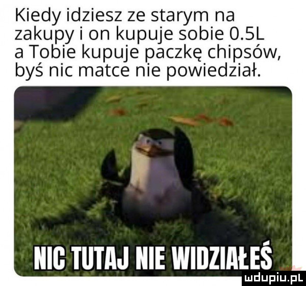 kiedy idziesz ze starym na zakupy i on kupuje sobie    l a tobie kupuje paczkę chipsów byś nic matce nie powiedział. i mig tutaj hme widziaileś