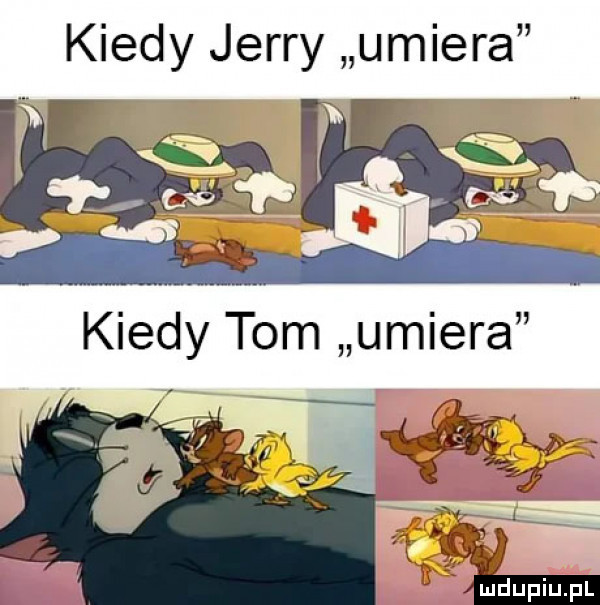 kiedy jerry umiera ujdupiupl