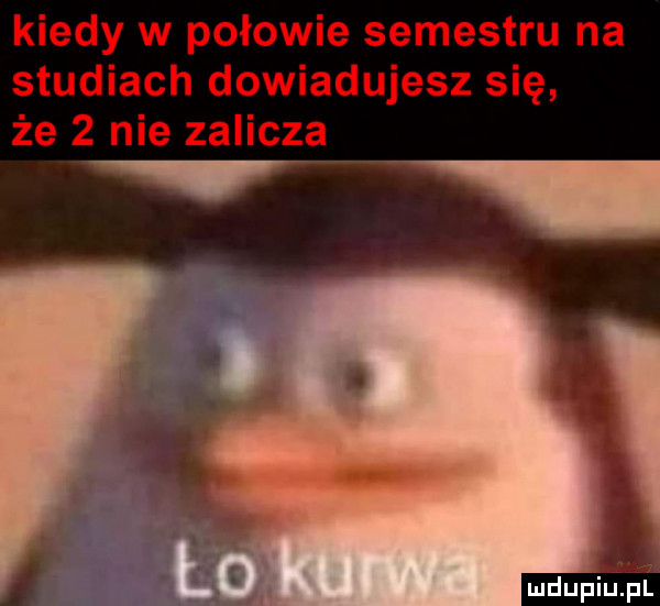 kiedy w połowie semestru na studiach dowiadujesz się że   nie zalicza v