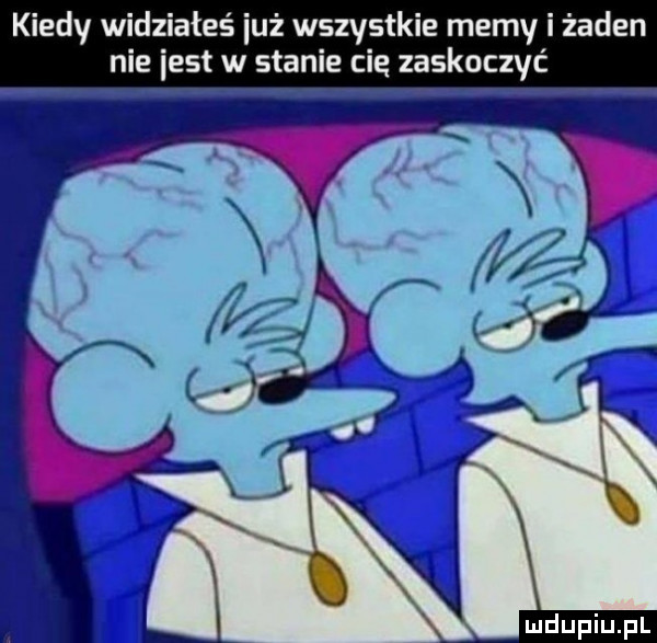 kiedy widziałeś iuż wszystkie memy i żaden nie iest w stanie cie zaskoczyć duciu pl