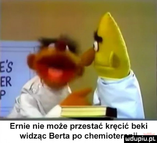 ennie nie może przestać kręcić beki widząc berta po chemioter dam pl