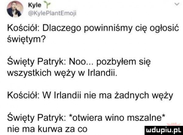 kale kościół dlaczego powinniśmy cię ogłosić świętym święty patryk neo. pozbyłem się wszystkich węży w irlandii. kościół w irlandii nie ma żadnych węży święty patryk otwiera wino mszalne nie ma kanna za co