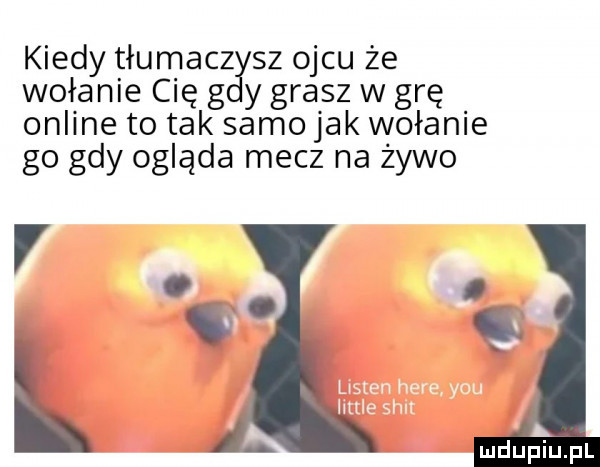 kiedy tłumacz sz ojcu że wołanie cię g y grasz w grę online to tak samo jak wołanie go gdy ogląda mecz na żywo