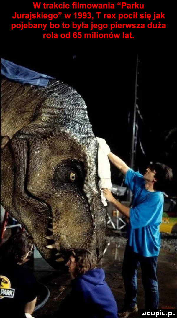 w trakcie filmowania parku jurajskiego w      t rex pocil się jak pojebany bo to była jego pierwsza duża rola od    milionów lat
