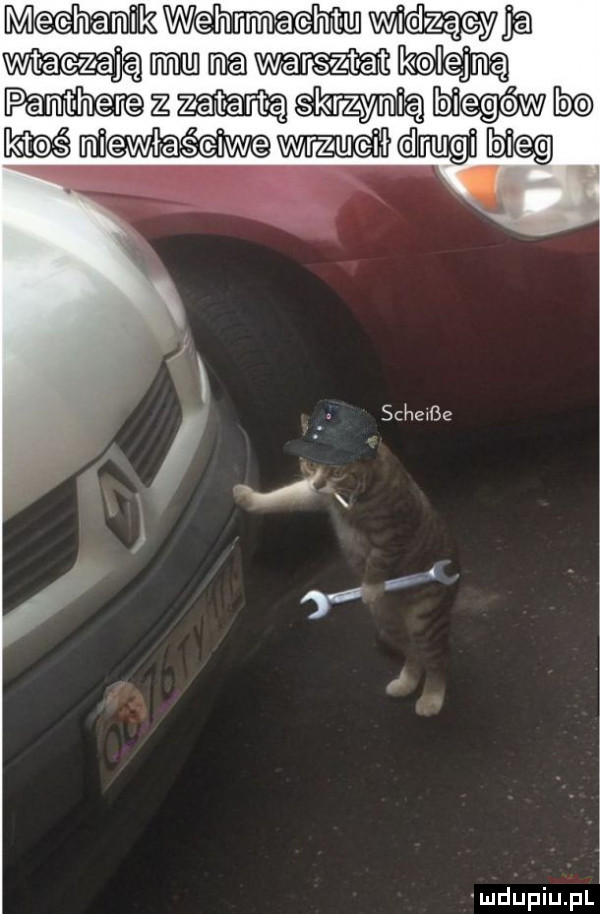 wat dę mm memu t k lejną w  www wwa