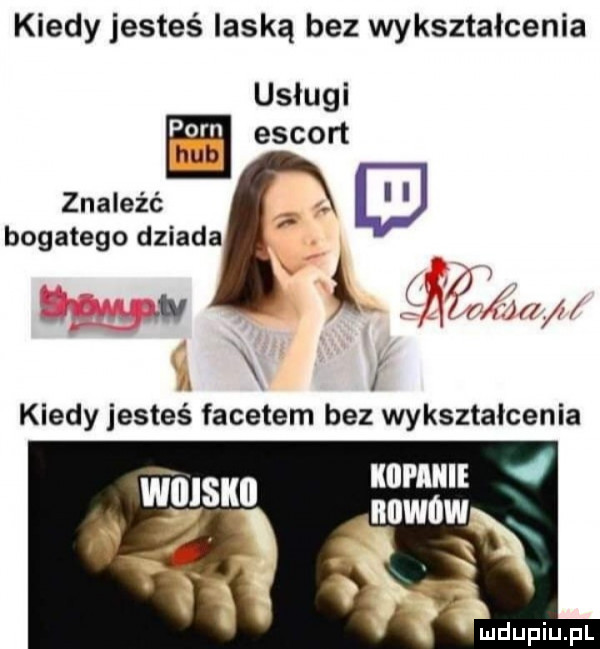 kiedy jesteś laską bez wykształcenia usługi por escort znaleźć. bogatego dziada w x n v r m. kiedy jesteś facetem bez wykształcenia w  m lill lllllix ludupiu. pl