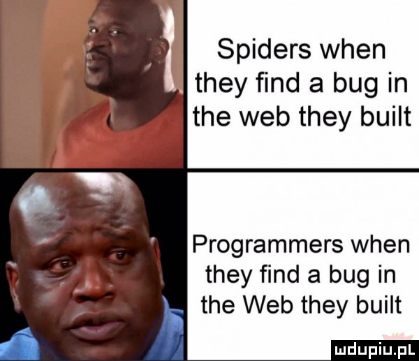 spiders wien they ﬁnd a bug in tee web they built programmers wien they fond a bug in tee web they built