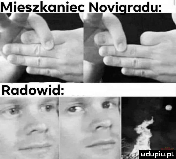mieszkaniec noviiradu radowid a