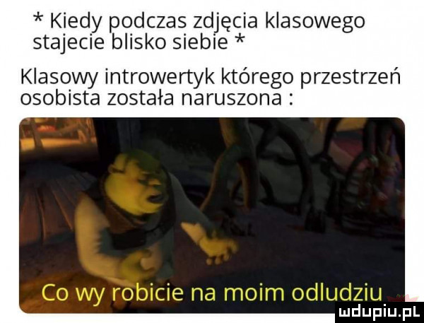 kiedy podczas zdjęcia klasowego stajecie blisko siebie klasowy introwertyk którego przestrzeń osobista została naruszona indupiupl