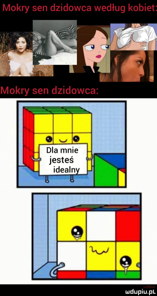 mokry sen dzikowca według kobiet