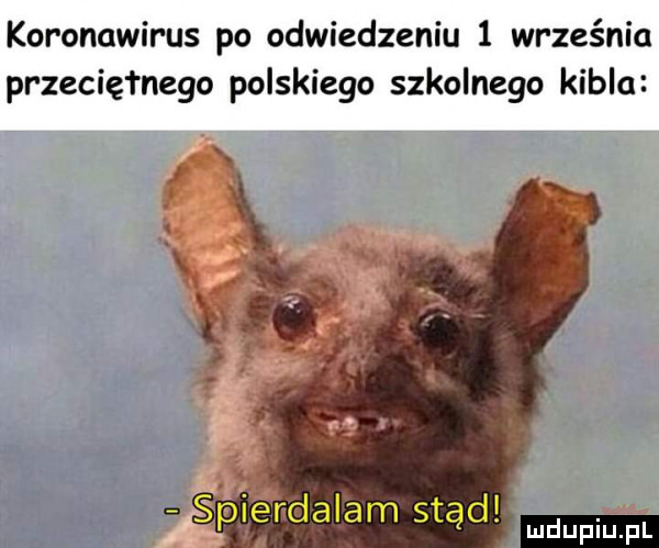 koronawirus po odwiedzeniu   września przeciętnego polskiego szkolnego kibla fiśpierdalam stąd mnpm pl