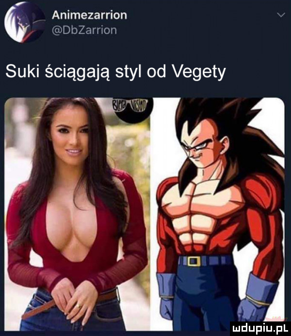 animezarrion v d   ar ri on suki ściągają styl od vegety