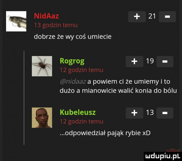 nidaaz    i  godom komu dobrze że wy coś umiecie rogrog    izgodzmtemu a powiem ci że umiemy i to dużo a mianowicie walić konia do bólu kubeieusz    iz godzin emu odpowiedział pająk rybie xd