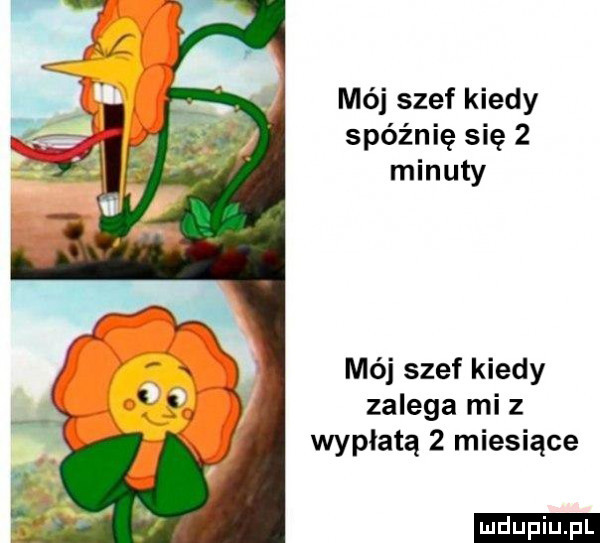 mój szef kiedy spóźnię się   minuty mój szef kiedy zalega mi z wypłatą   miesiące ludu iu. l