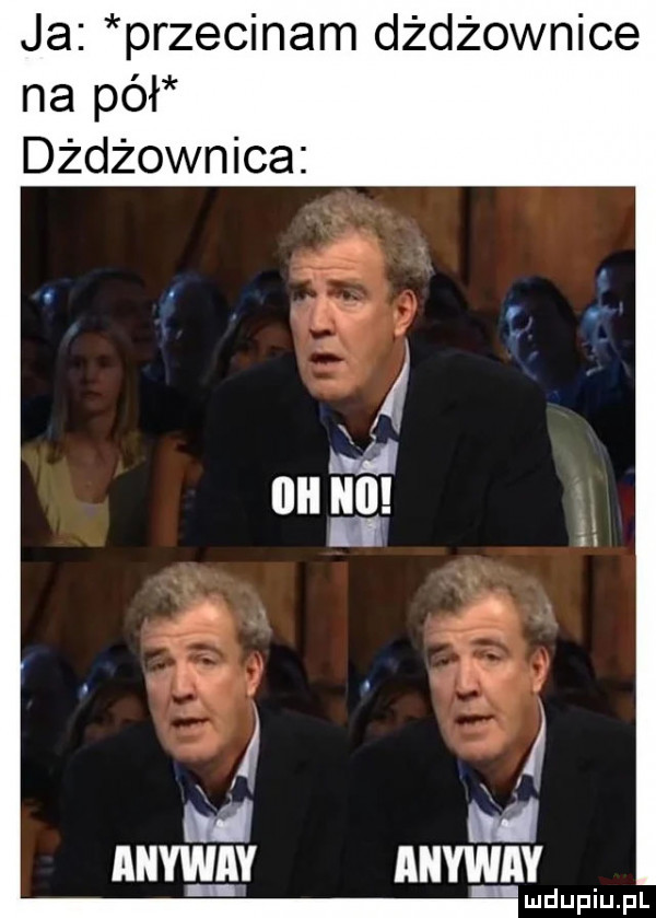 ja przecinam dżdżownice na pół dżdżownica adm auvwnv i u lipiu pl