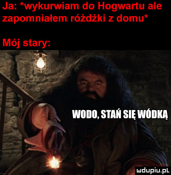 ja wykurwiam do hogwartu ale zapomniałem różdżki z domu mój starry. u. wiiiiii s i al l się wódka. mdupiupl